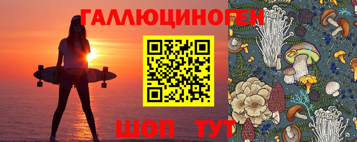 Псилоцибиновые грибы прущие грибы  Вход с VPN  Асино 